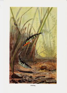 il_570xN.432260477_npe7